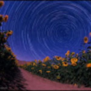 Meet your Posher, Briana